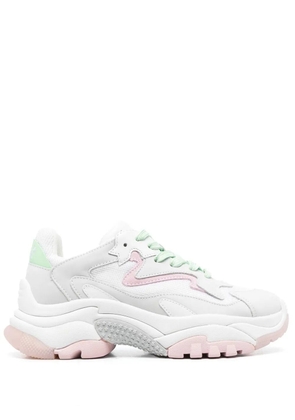 Ash Addict low-top sneakers - Grey