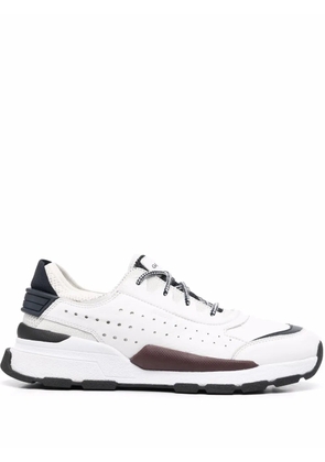 Geox Regale low top sneakers - White