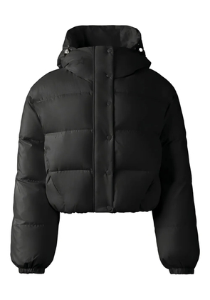 Perfect Moment cropped puffer jacket - Black