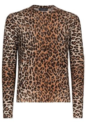 Dolce & Gabbana leopard-print wool jumper - Brown