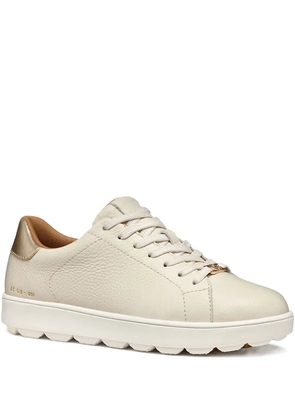 Geox Spherica Ecub-1 sneakers - Neutrals