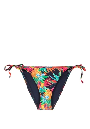 Marlies Dekkers Hula Haka bow bikini bottoms - Blue