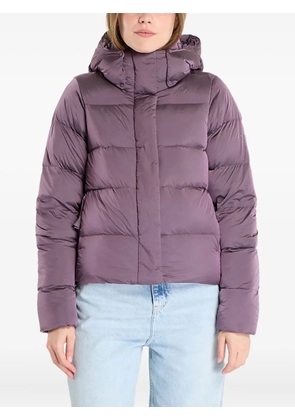 Columbia Amaze Puff hooded puffer jacket - Purple