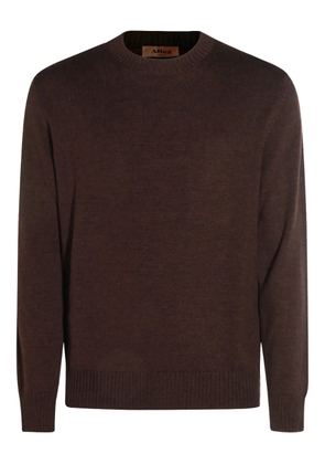 Altea crew-neck sweater - Brown