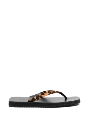 Senso Xeo ll sandals - Brown