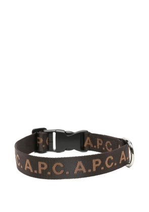 A.P.C. logo adjustable pet collar - Brown