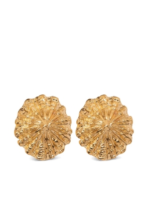 Jennifer Behr Limpet earrings - Gold