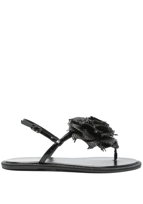 Le Silla floral-appliqué sandals - Black
