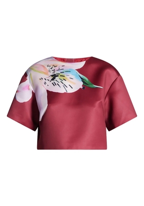 Leo Lin Indie floral-print short-sleeve blouse - Red