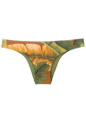 Lenny Niemeyer Banana low-rise bikini bottoms - Green