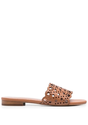 TWINSET slip-on flat sandals - Brown