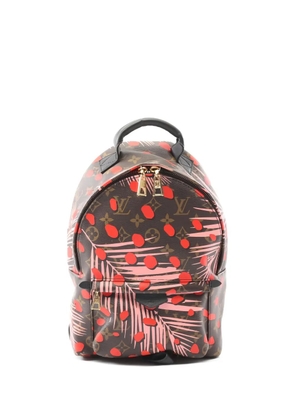 Louis Vuitton Pre-Owned 2016 Palm Springs PM monogram backpack - Brown