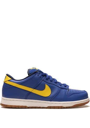 Nike Dunk Low Pro SB sneakers - Blue