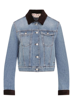 Marni contrasting-collar jacket - Blue