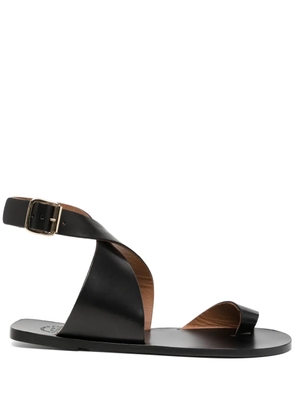 ATP Atelier Montagano sandals - Black