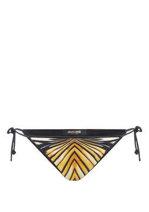 Roberto Cavalli Ray of Gold-print bikini bottoms