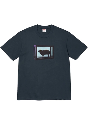 Supreme x Damien Hirst printed T-shirt - Blue