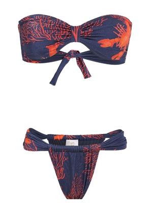Brigitte graphic-print bikini - Blue