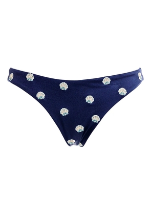 Agua Bendita shell-print bikini bottoms - Blue