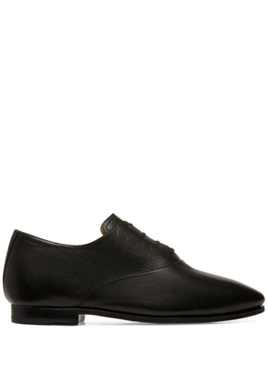 Bally Plume Oxford in Grained Leather wide foot morphology - Black