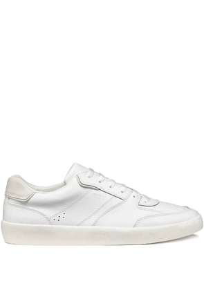 Geox Affile leather sneakers - White