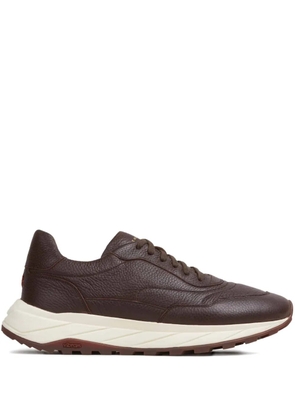 Henderson Baracco Shark leather sneakers - Brown