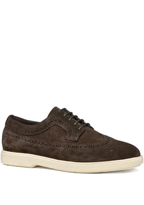 Geox brogue-detail suede derby shoes - Brown