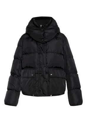 Add hooded puffer jacket - Black