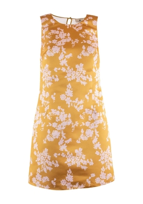 Elisabetta Franchi floral-embroidered mini dress - Yellow
