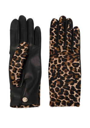 Agnelle Susan gloves - Brown