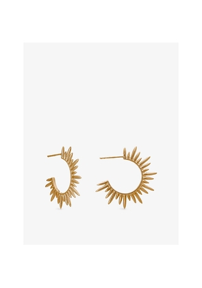 Womens Rachel Jackson Electric Goddess Medium 22ct Gold-Plated Sterling-Silver Hoop Earrings