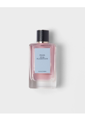 Olfactories - Pink Flamingos EDP 100 ml