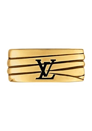 LV Epi Ring