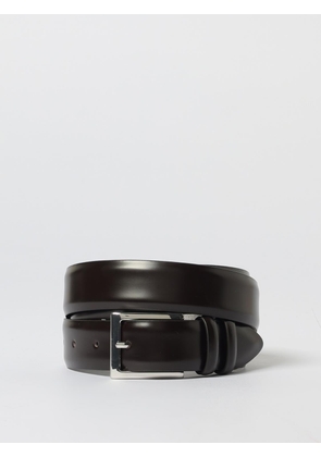 Belt ORCIANI Men color Brown