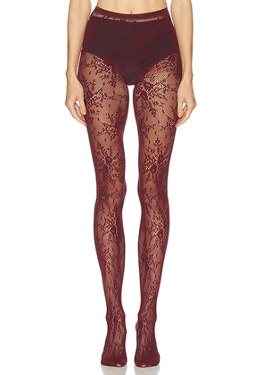 SWEDISH STOCKINGS Rosa Lace Tights in Deep Red - Red. Size S (also in ).