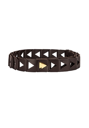 Bottega Veneta Cutout 5cm Belt in Fondente & Gold - Brown. Size all.