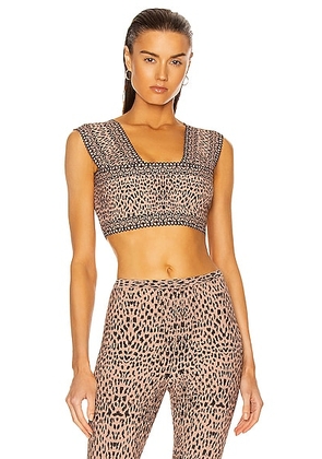 ALAÏA Jacquard Print Fitted Top in Chair & Noir - Blush. Size 38 (also in 42).