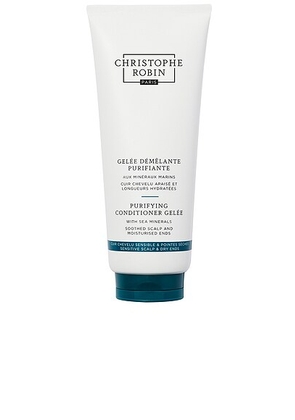 Christophe Robin Purifying Conditioner Gelee in N/A - Beauty: NA. Size all.