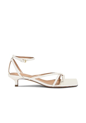 Bottega Veneta Stretch Ankle Sandal in White - Ivory. Size 36 (also in ).