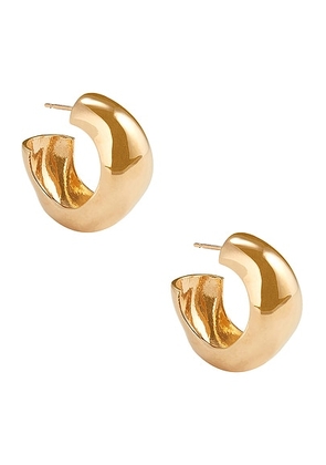 AGMES Medium Celia Hoop Earrings in Gold Vermeil - Metallic Gold. Size all.