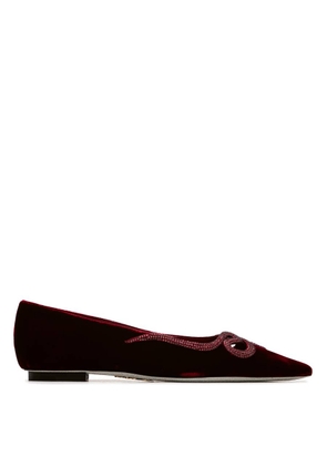 Rene Caovilla Rubino Velvet Morgana Embellished Ballet Flats