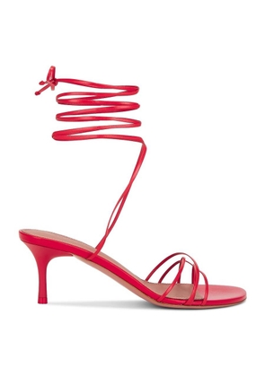 Amina Muaddi Lori Lace Up 60 Sandals