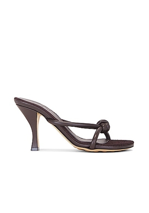 Bottega Veneta Blink Sandal in Fondant - Chocolate. Size 36.5 (also in ).