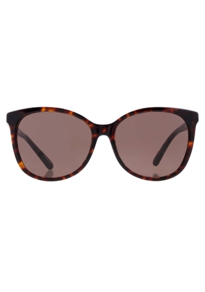 Coach Dark Brown Square Ladies Sunglasses HC8271U 512073 57