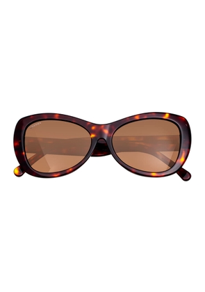 Bertha Ladies Tortoise Square Sunglasses BRSIT101-3
