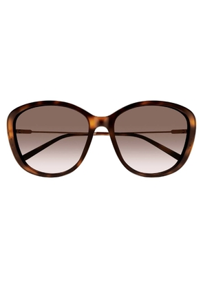 Chloe Brown Gradient Butterfly Ladies Sunglasses CH0175SK 002 59