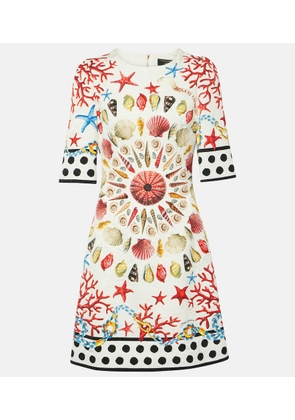 Dolce&Gabbana Capri printed minidress