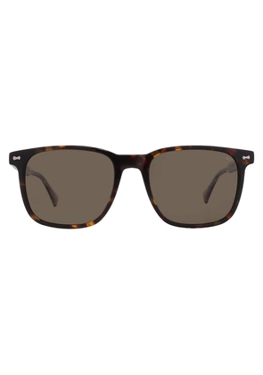 John Varvatos Brown Square Mens Sunglasses SJV557 0HAV 54