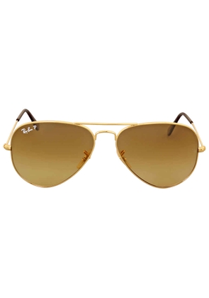 Ray Ban Aviator Gradient Polarized Brown Unisex Sunglasses RB3025 001/M2 58