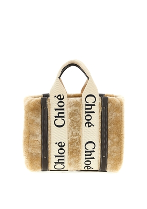 Chloé Woody Small Handbag